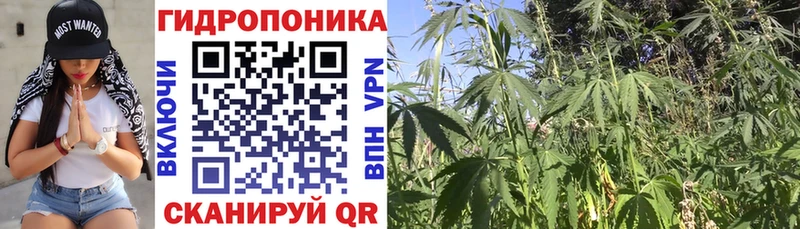 Конопля марихуана Купить закладки Кулебаки